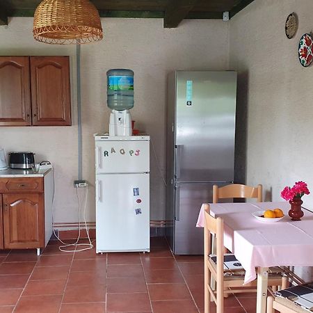 Etno Salas - Etno Ranch - Seosko Turisticko Domacinstvo Vila Palić Exterior foto