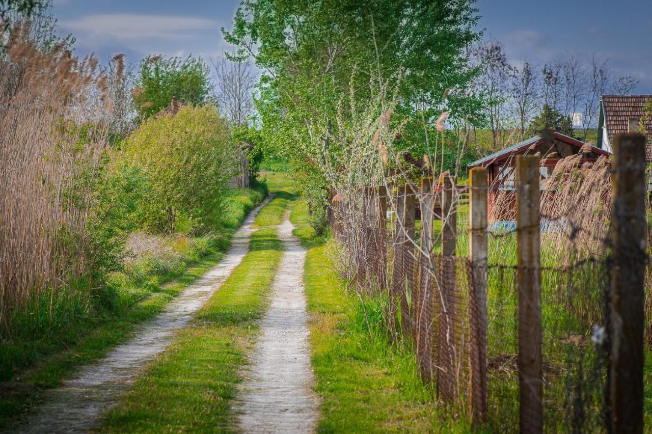 Etno Salas - Etno Ranch - Seosko Turisticko Domacinstvo Vila Palić Exterior foto