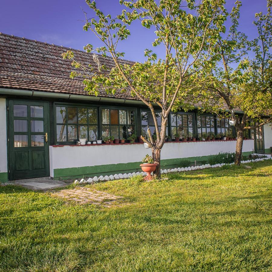 Etno Salas - Etno Ranch - Seosko Turisticko Domacinstvo Vila Palić Exterior foto