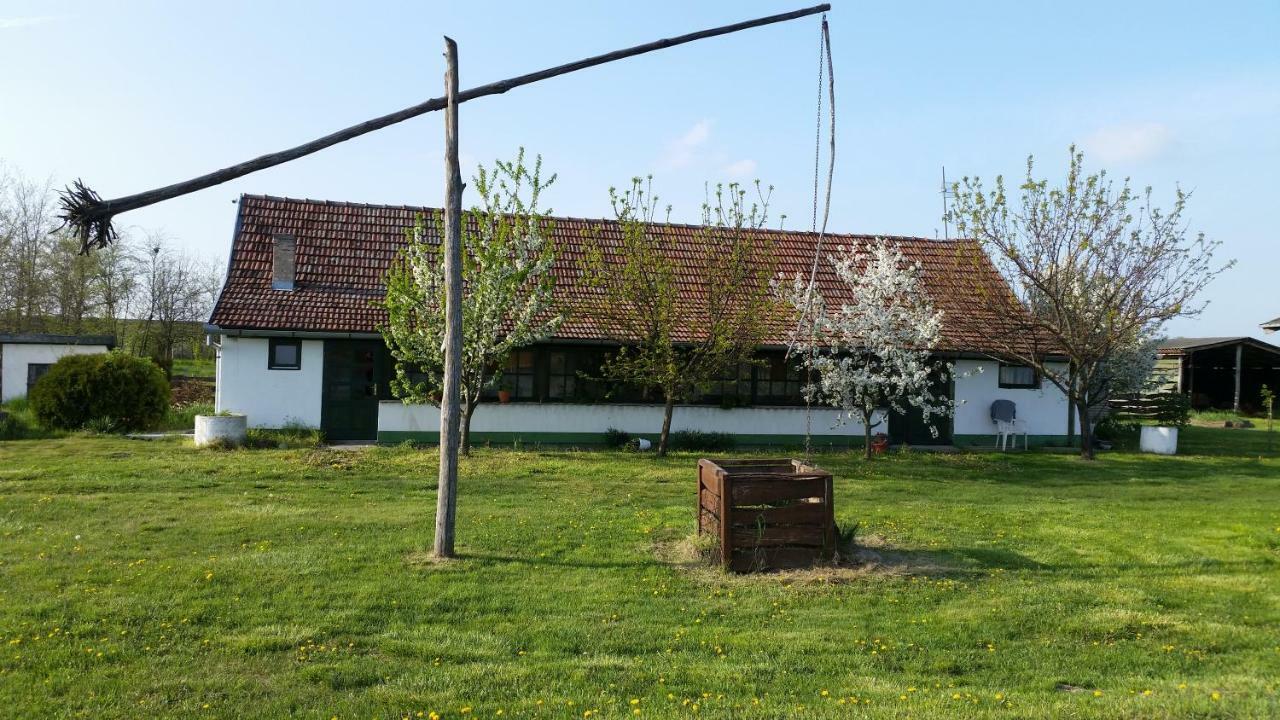 Etno Salas - Etno Ranch - Seosko Turisticko Domacinstvo Vila Palić Exterior foto